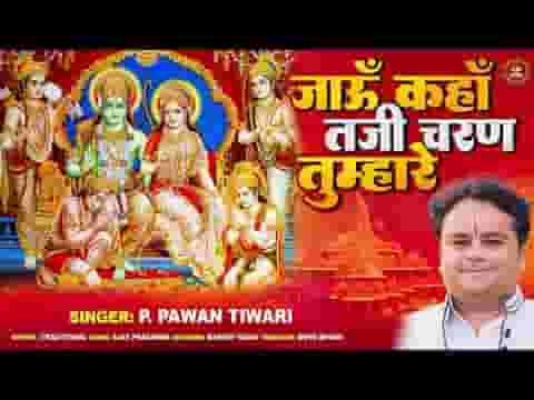 जाऊं कहाँ तजि चरण तुम्हारे भजन लिरिक्स