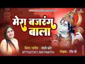अरे रे मेरा बजरंग बाला सभी का है रखवाला लिरिक्स
