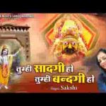 तुम्ही सादगी हो तुम्ही बन्दगी हो भजन लिरिक्स