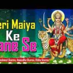 मेरी मैया के आने से हुआ जगमग चमन सारा लिरिक्स