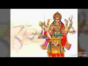 मेरी होगी जरूर सुनवाई माँ तेरे सच्चे दरबार में लिरिक्स