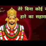 एक श्याम तू मेरा है मुझे तेरा सहारा है लिरिक्स