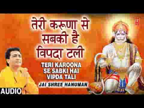 तेरी करुणा से सबकी है विपदा टली भजन लिरिक्स