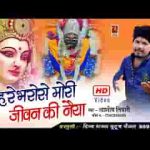 तुम्हरे भरोसे मोरी जीवन की नैया शारदा मैया भजन लिरिक्स