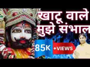 हार चुका हूँ मुझे संभाल कृपा कर बाबा दीनदयाल लिरिक्स