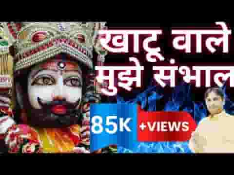 हार चुका हूँ मुझे संभाल कृपा कर बाबा दीनदयाल लिरिक्स