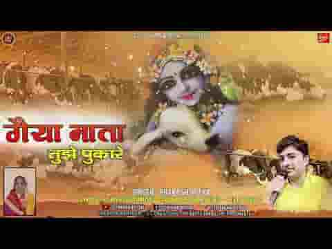 गैया माता तुम्हे पुकारे कहाँ छुपे हो श्याम लिरिक्स