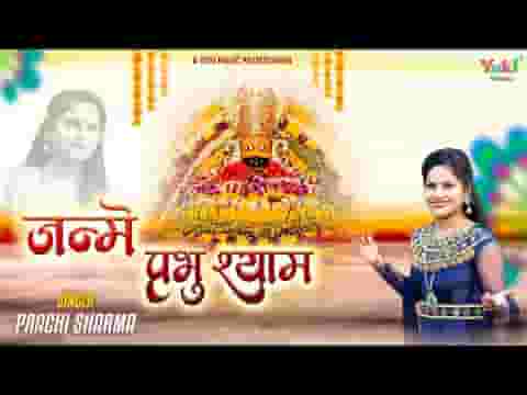 जन्मे प्रभु श्याम कन्हाई है भजन लिरिक्स