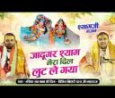जादूगर श्याम मेरा दिल लूट ले गया भजन लिरिक्स