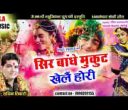 सिर बांधे मुकुट खेले होली भजन लिरिक्स