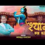 मेरे दिल में उतर गया श्याम क्या करूँ लिरिक्स