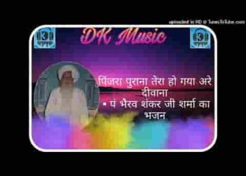 पिंजरा पुराना तेरा हो गया रे अरे दीवाना