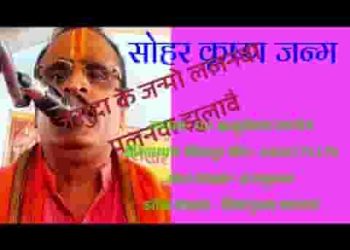 जसुदा के जनमो ललनवा पलनवा झुलावे हो