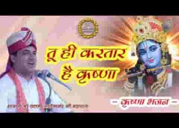 तू ही करतार है कृष्णा भजन लिरिक्स