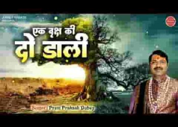 एक वृक्ष की दो डाली पर किस्मत जुदा जुदा है