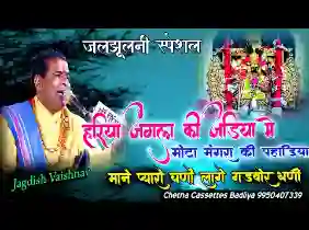 हरिया जंगल की झाड़ियां में गढ़बोर धनी को श्याम