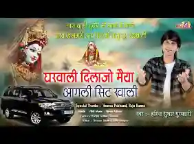 घर वाली दिलाजो मैया आगली सीट खाली