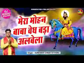 मेरा मोहन राम लटाधारी है वैध बडा अलबेला