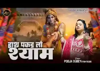 हाथ पकड़ लो श्याम