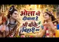 भोला भी दीवाना है श्री बांके बिहारी का लिरिक्स
