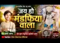 मंडफिया वाला जय हो मंडफिया वाला