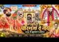 म्हारो चारभुजा रो नाथ नगर में झूलबाने आयो है